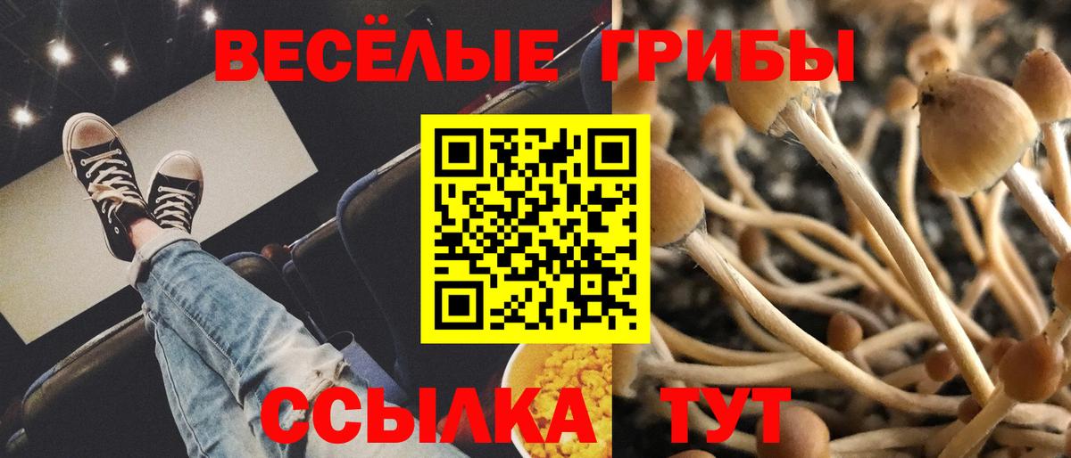 Галлюциногенные грибы Psilocybine cubensis  Псилоцибиновые грибы ЛСД  Вход с VPN  Сафоново 